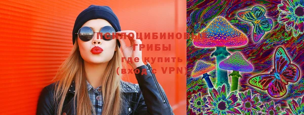 экстази Арсеньев