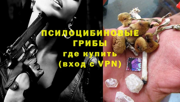 2c-b Аркадак