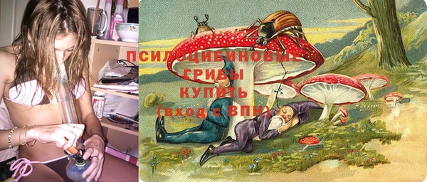 экстази Арсеньев
