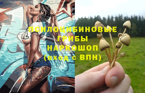 2c-b Аркадак
